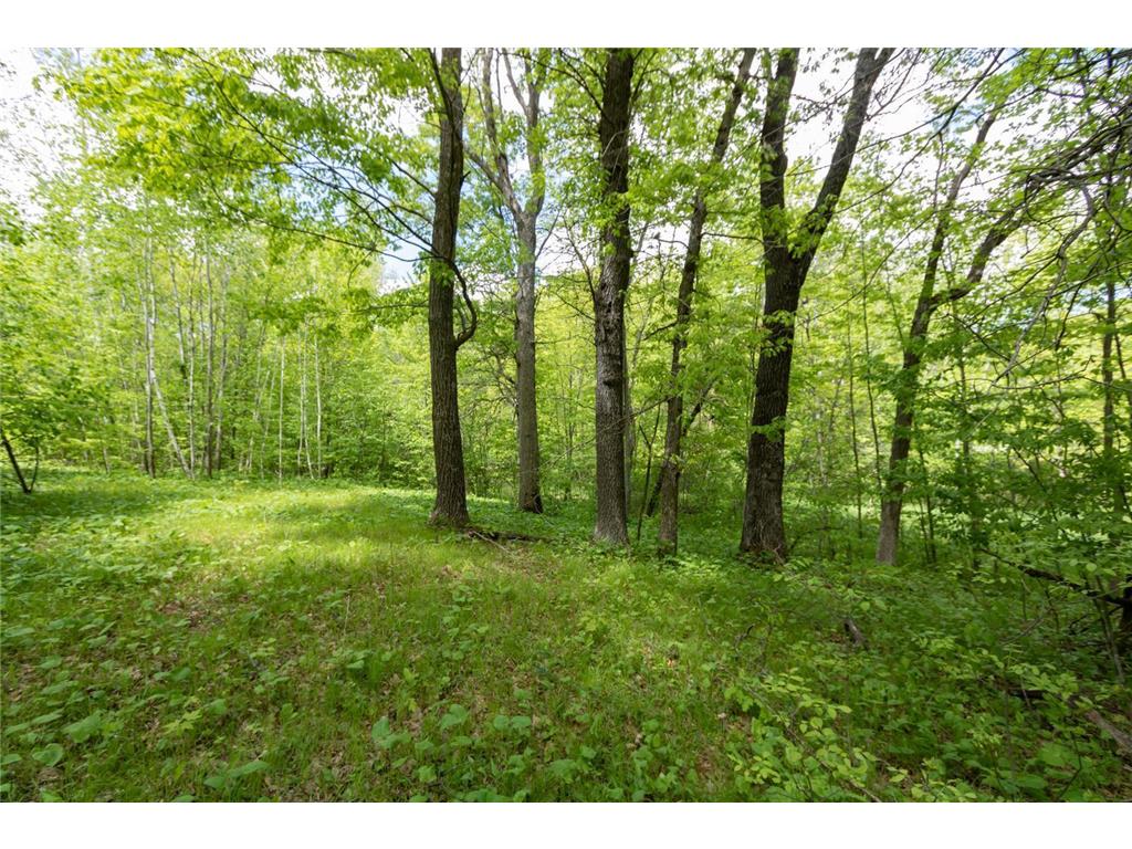 Lot 12 133rd Street Amery WI 54001 6656554 image1