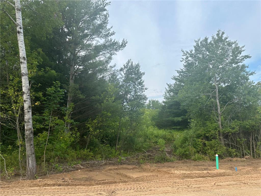 Lot 12 Blk 1 Brummer Drive Randall MN 56475 6593549 image1