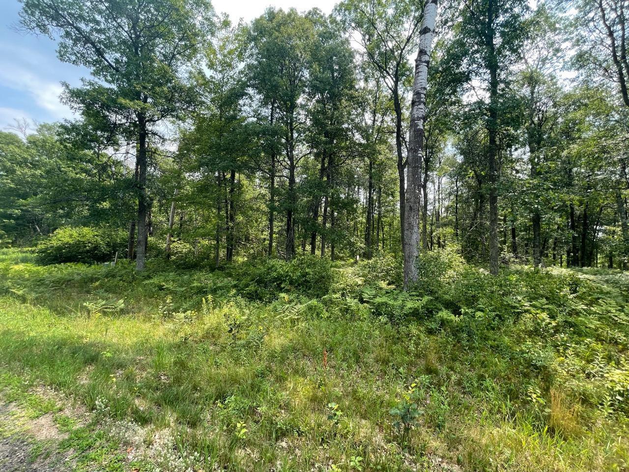 Lot 12 Blk 5 Scenic Overlook Breezy Point MN 56472 6029205 image1