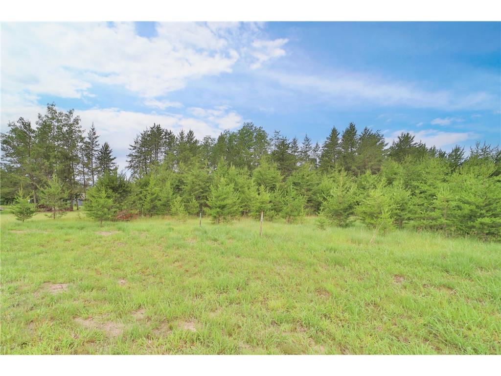 Lot 12 Block 1 Joneswood Circle Baxter MN 56425 6506428 image1
