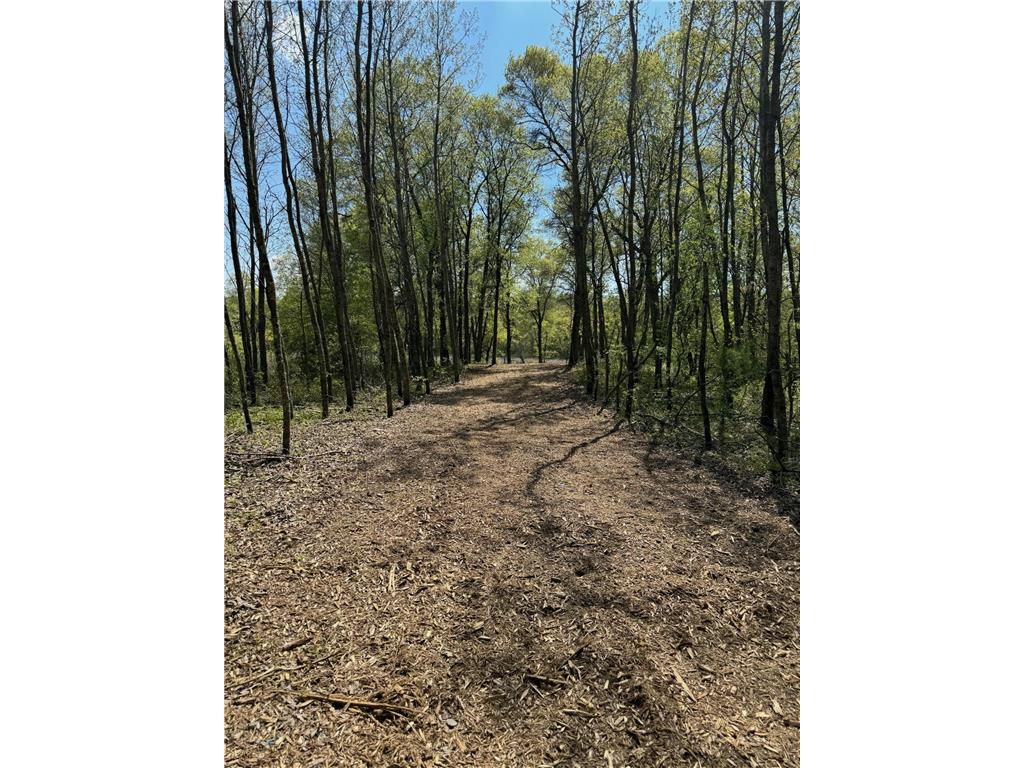Lot 12 Crystal Lake Drive Danbury WI 54830 6537602 image2