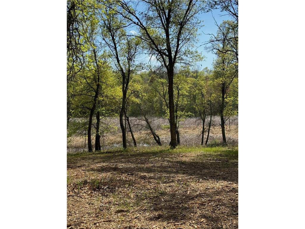 Lot 12 Crystal Lake Drive Danbury WI 54830 6537602 image3