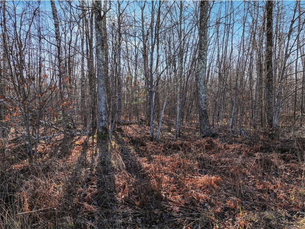 Lot 12 Peninsula Road Hayward WI 54843 6633338 image2