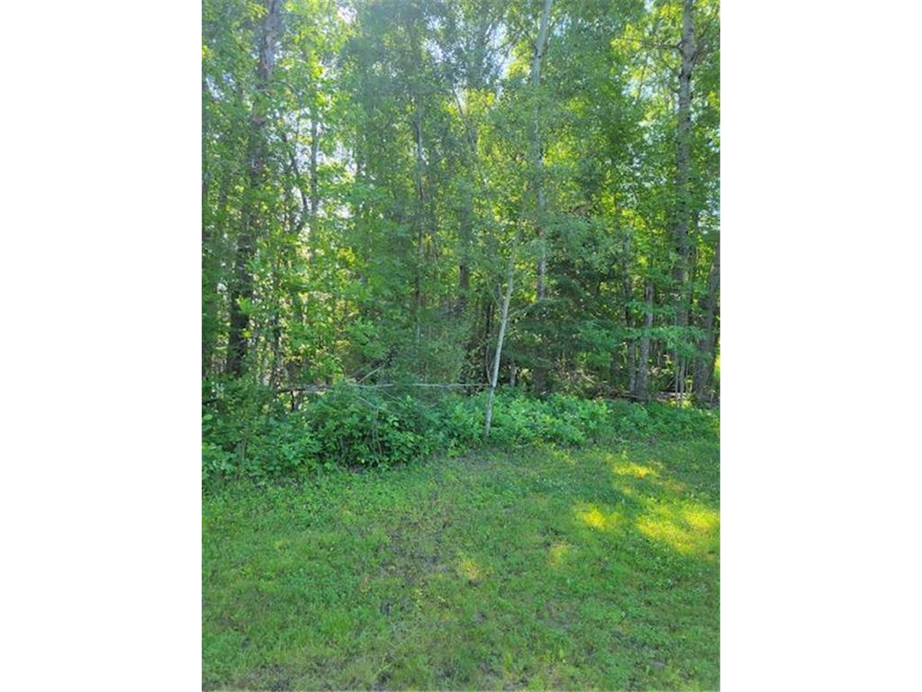 Lot 12 - TBD Driftwood Lane NW Baudette MN 56623 - Rainy River 7106947 image13