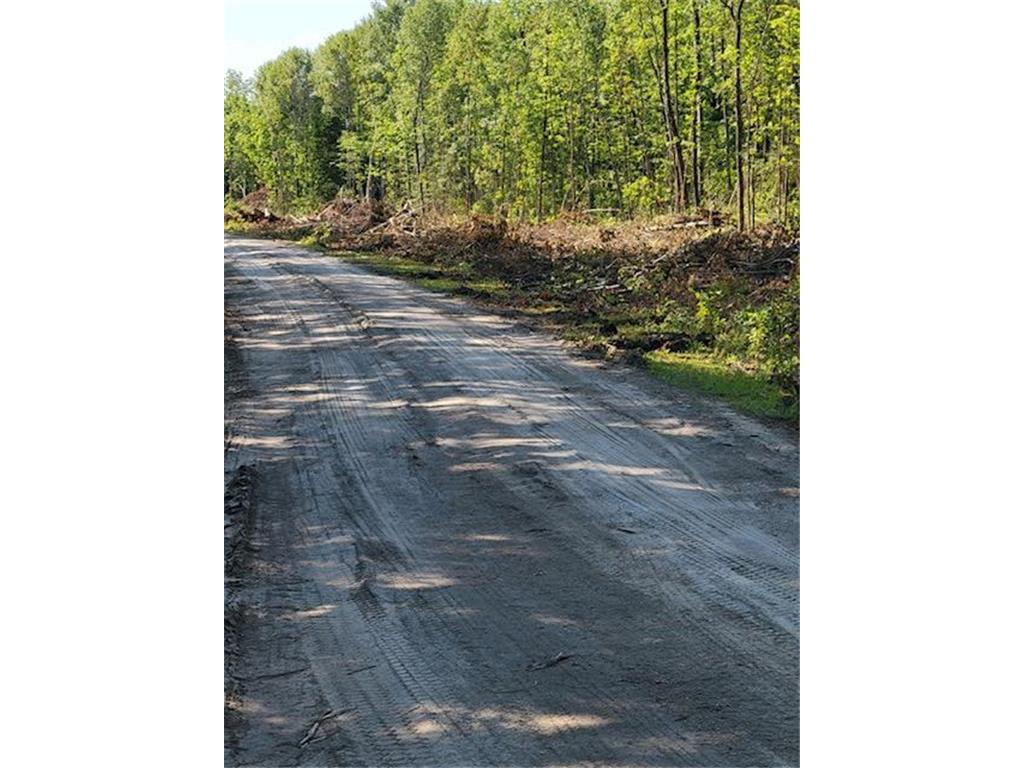Lot 12 - TBD Driftwood Lane NW Baudette MN 56623 - Rainy River 7106947 image15