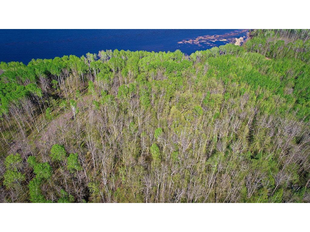 Lot 12 - TBD Driftwood Lane NW Baudette MN 56623 - Rainy River 7106947 image5