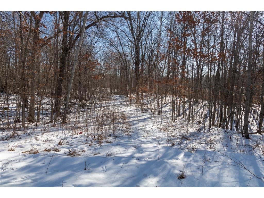 Lot 13 133rd Street Amery WI 54001 6656572 image1