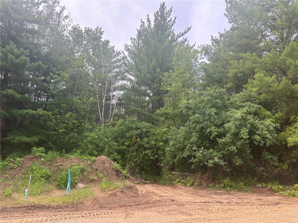 Lot 13 Blk 1 Brummer Drive Randall MN 56475 6593539 image1