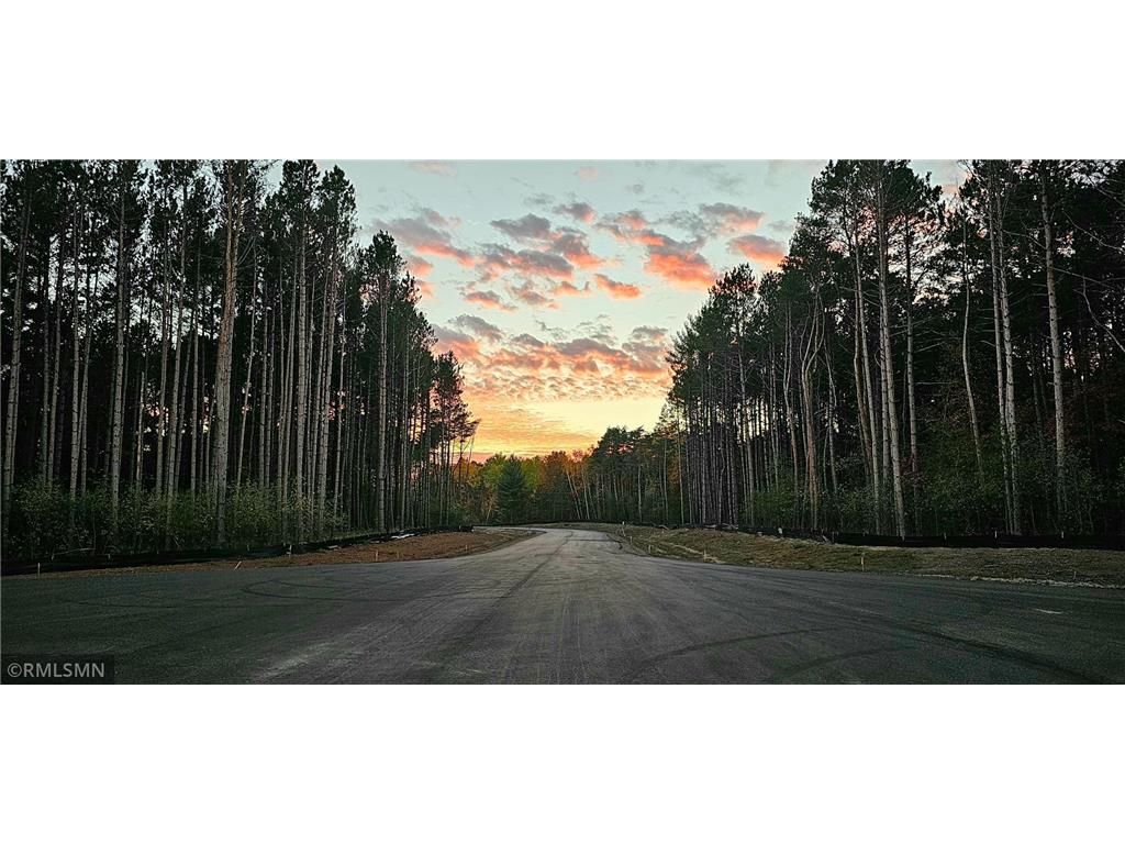 Lot 13 Dahlia Court Isanti MN 55040 6401779 image1
