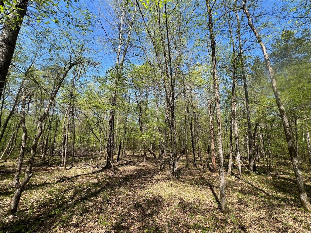Lot 13 Hide Away Trail Webb Lake WI 54830 6722266 image1