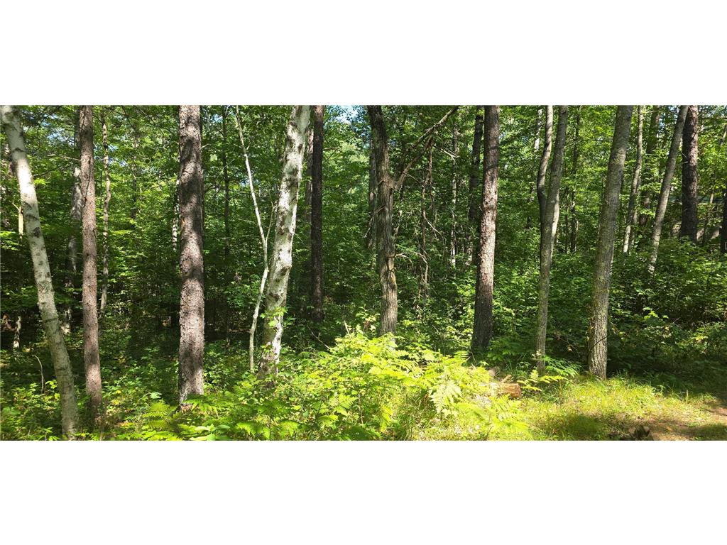 Lot 13 Lot 13 Hide-A-Way Trail Webb Lake WI 54830 6768602 image1