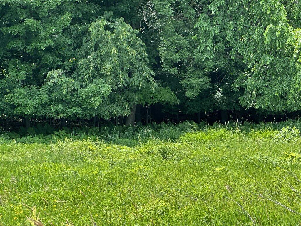 Lot 13 Surrey Ridge Trail Glenwood City WI 54013 7087856 image11