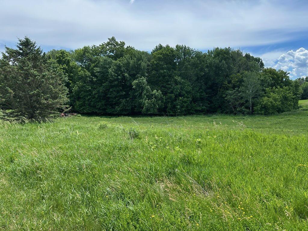 Lot 13 Surrey Ridge Trail Glenwood City WI 54013 7087856 image2