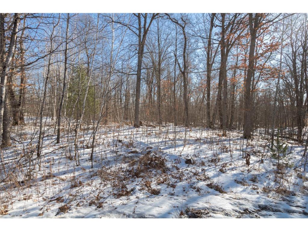 Lot 14 133rd Street Amery WI 54001 6656578 image1