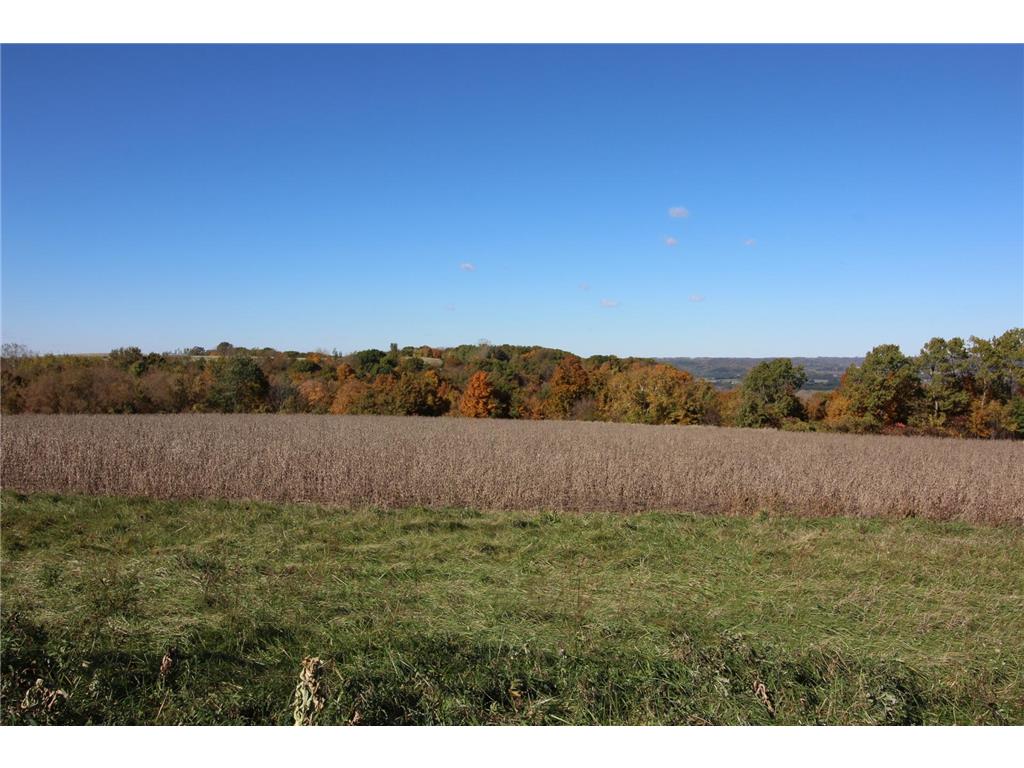 Lot 14 706th Street Wabasha MN 55981 - Mississippi 6643970 image4