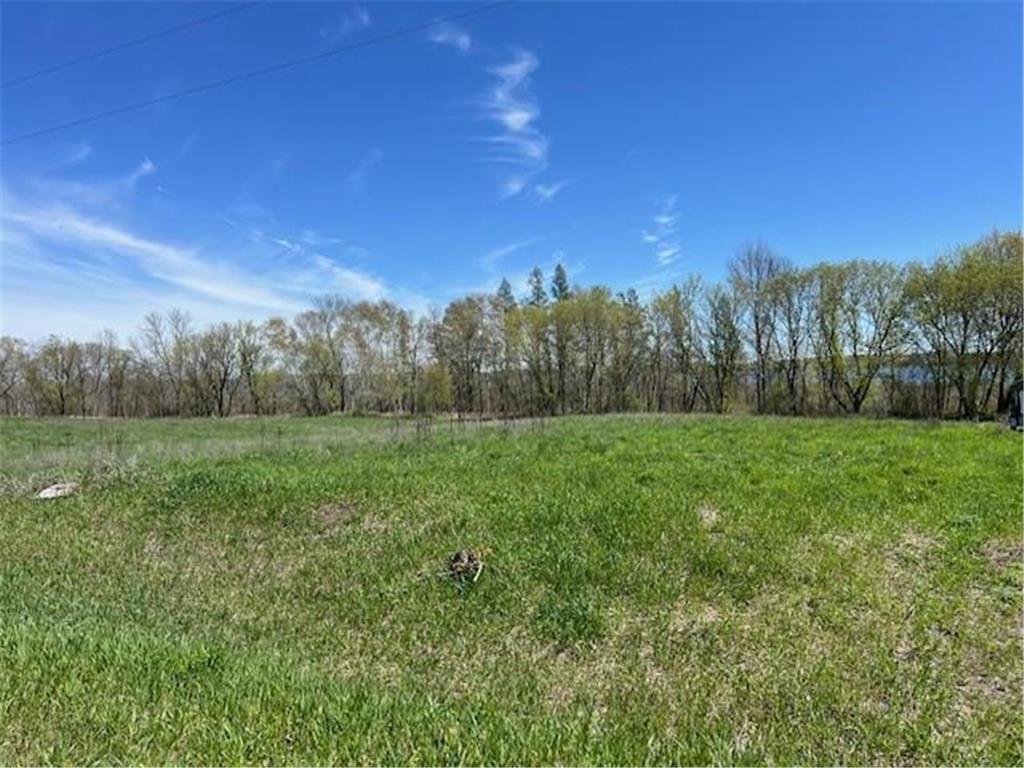 Lot 14 Alum Trail Birchdale Twp MN 56336 - Little Birch Lake 6532734 image3