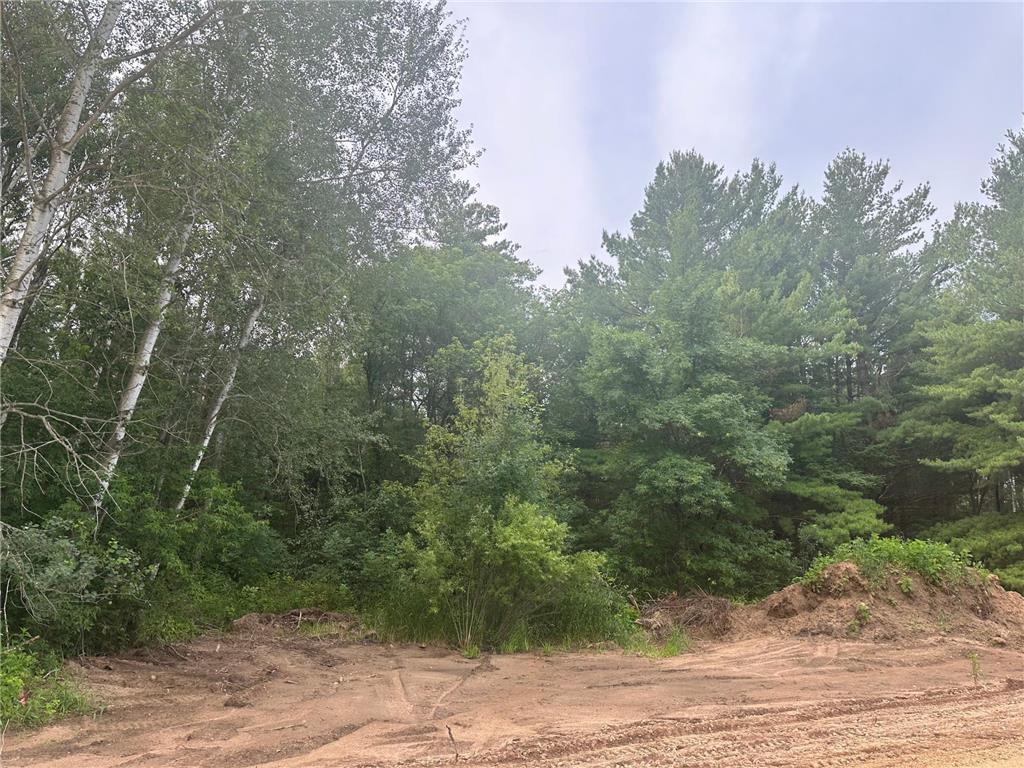 Lot 14 Blk 1 Brummer Drive Randall MN 56475 6593524 image1