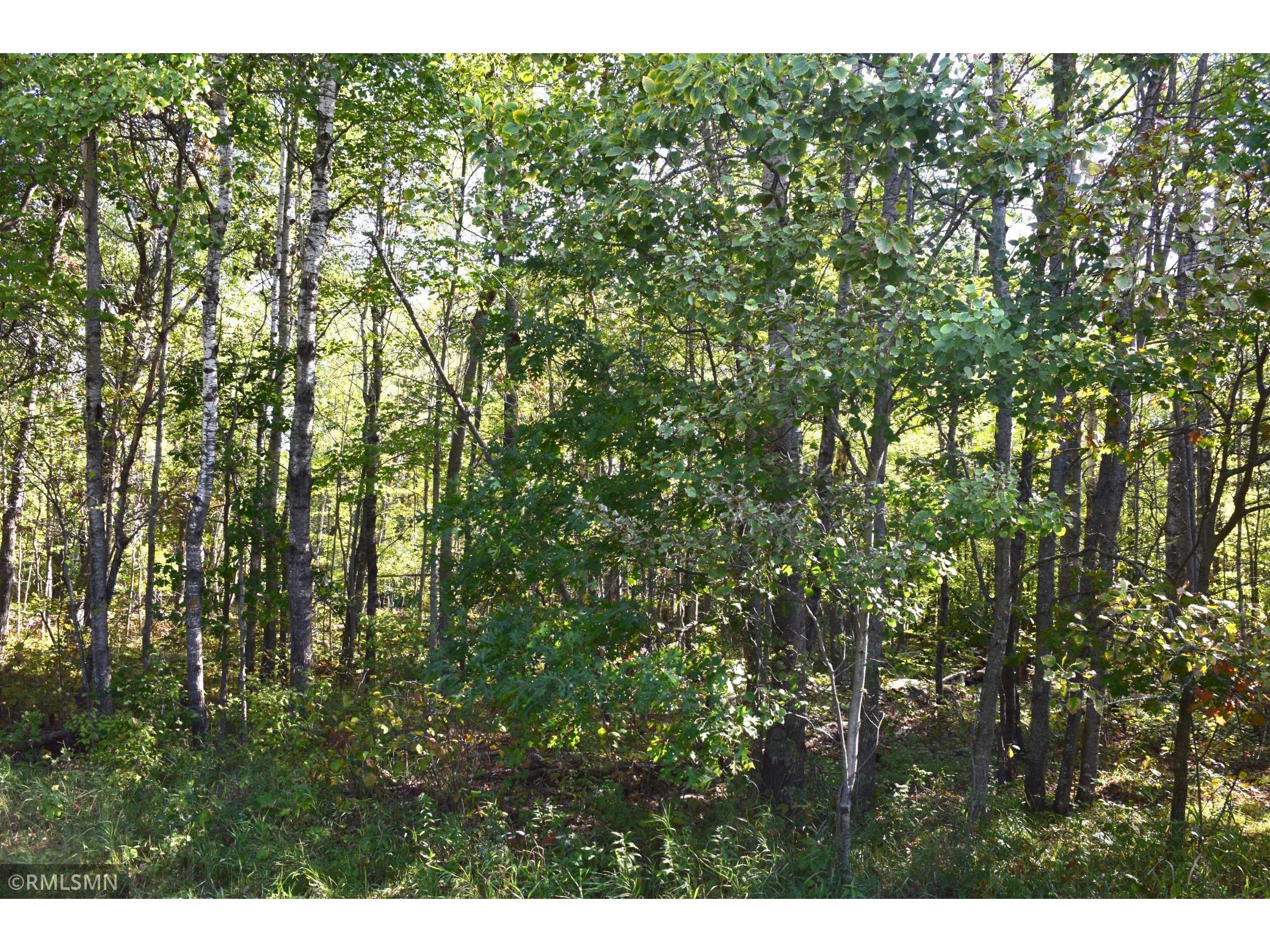 Lot 14 Blue Ridge Drive Breezy Point MN 56472 6098322 image1