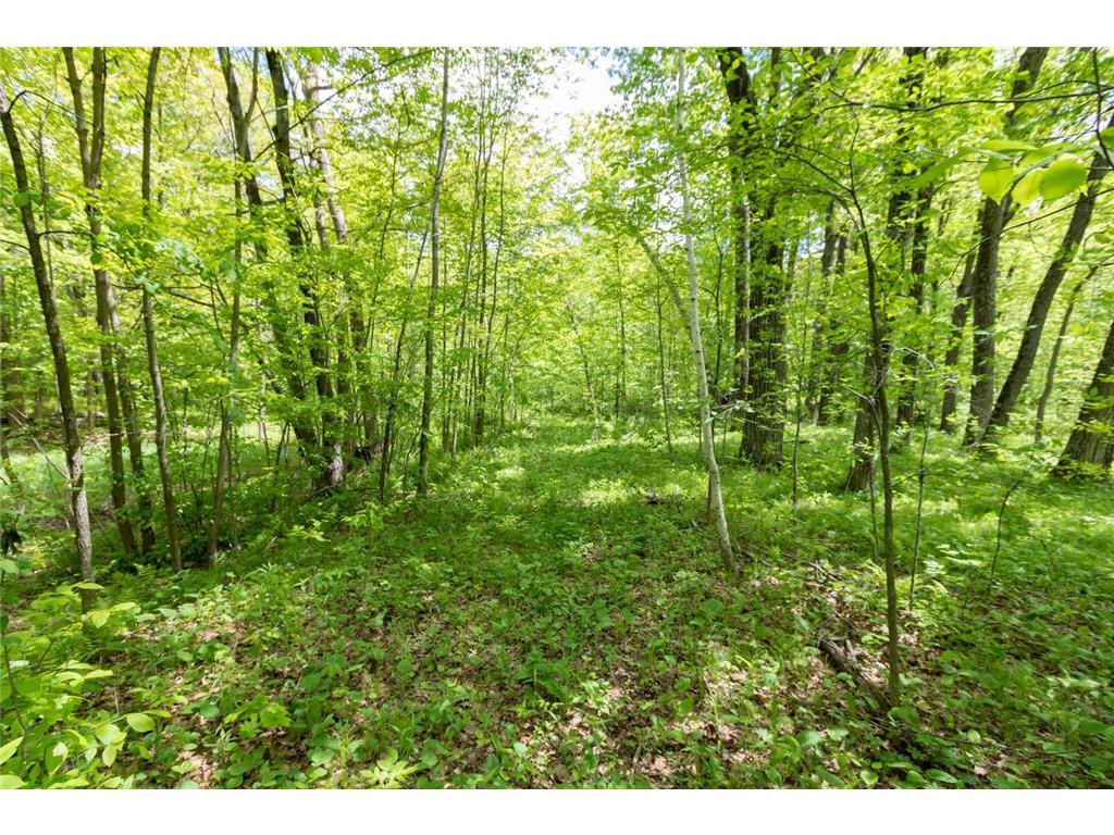 Lot 15 133rd Street Amery WI 54001 6656615 image1