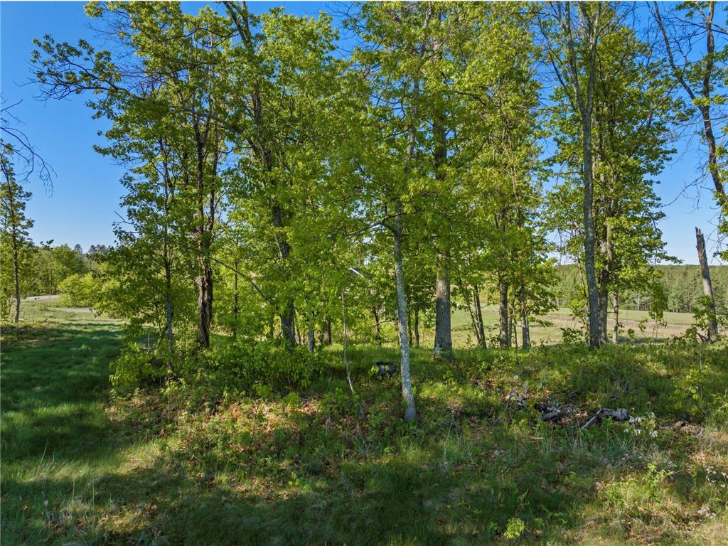 Lot 15 .58 Acres 16435 Tom Lehman Drive Brainerd MN 56401 6711447 image5