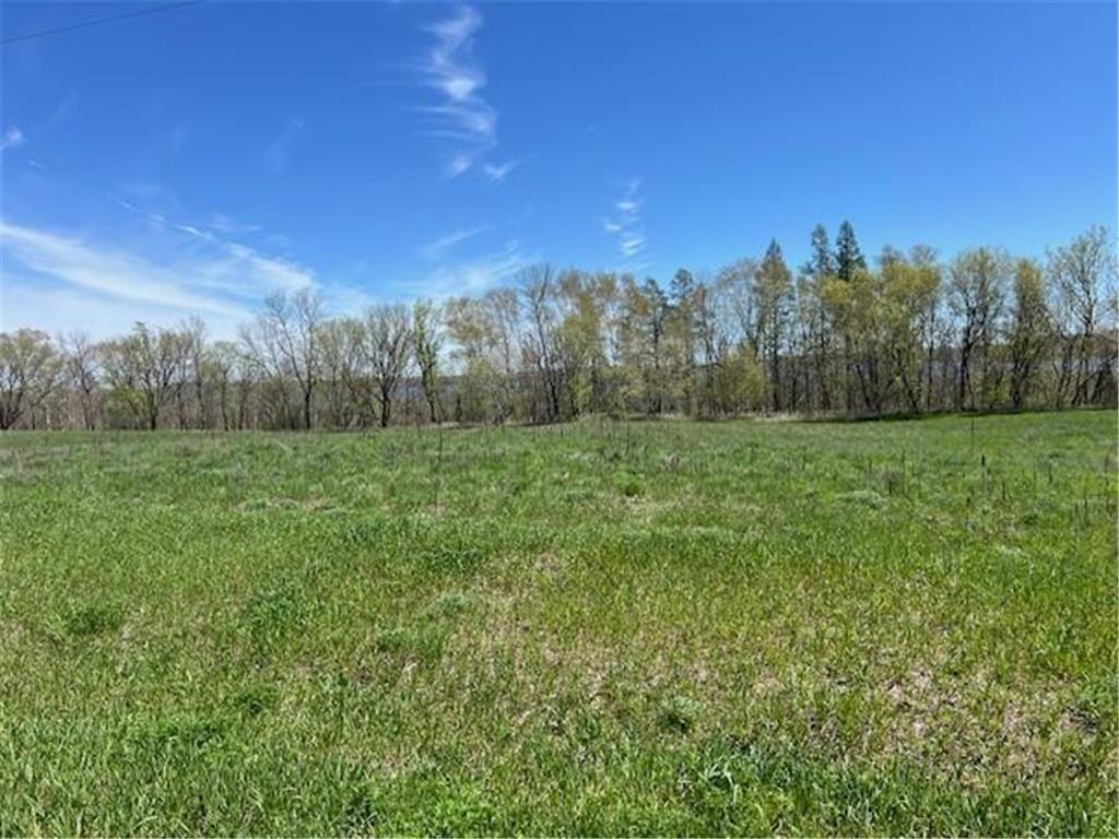 Lot 15 Alum Trail Birchdale Twp MN 56336 - Little Birch Lake 6532774 image3