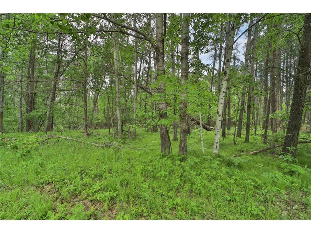 Lot 15 Cedar Street Breezy Point MN 56472 7036360 image2