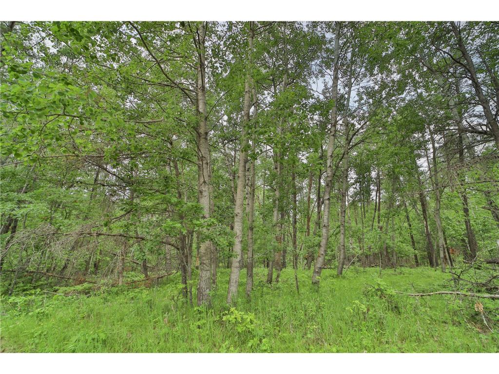 Lot 15 Cedar Street Breezy Point MN 56472 7036360 image3