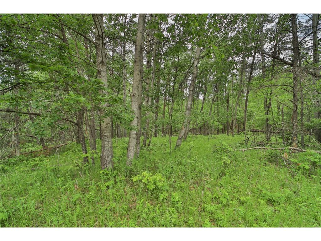 Lot 15 Cedar Street Breezy Point MN 56472 7036360 image4