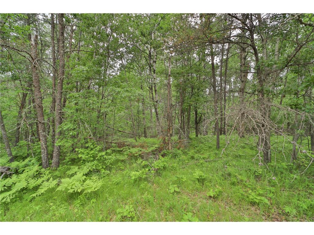 Lot 15 Cedar Street Breezy Point MN 56472 7036360 image5