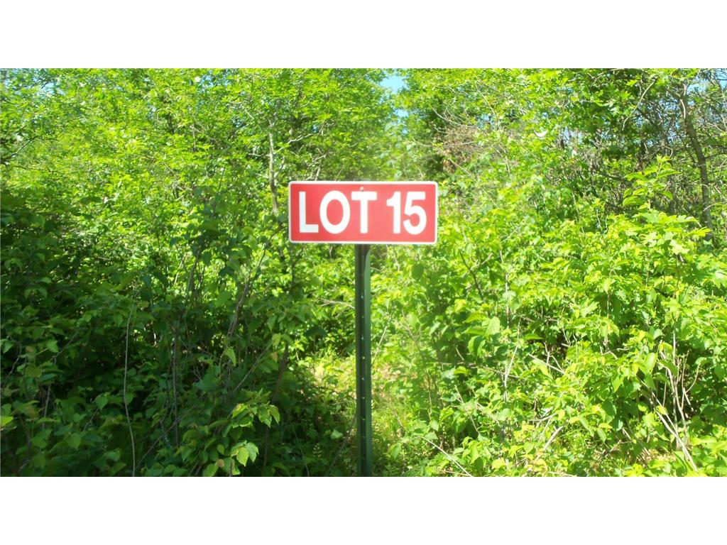Lot 15 Red Maple Ln Meenon Twp WI 54872 6580593 image1