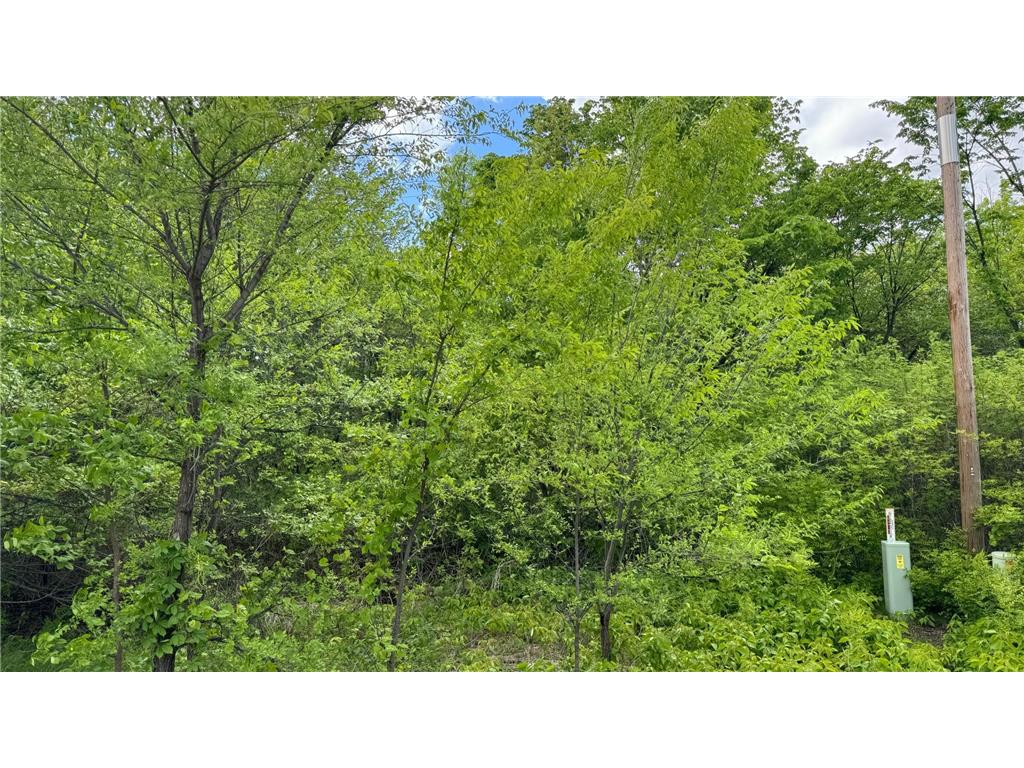 Lot 15 Sunset Strip NW Alexandria MN 56308 - Ida 6540905 image38