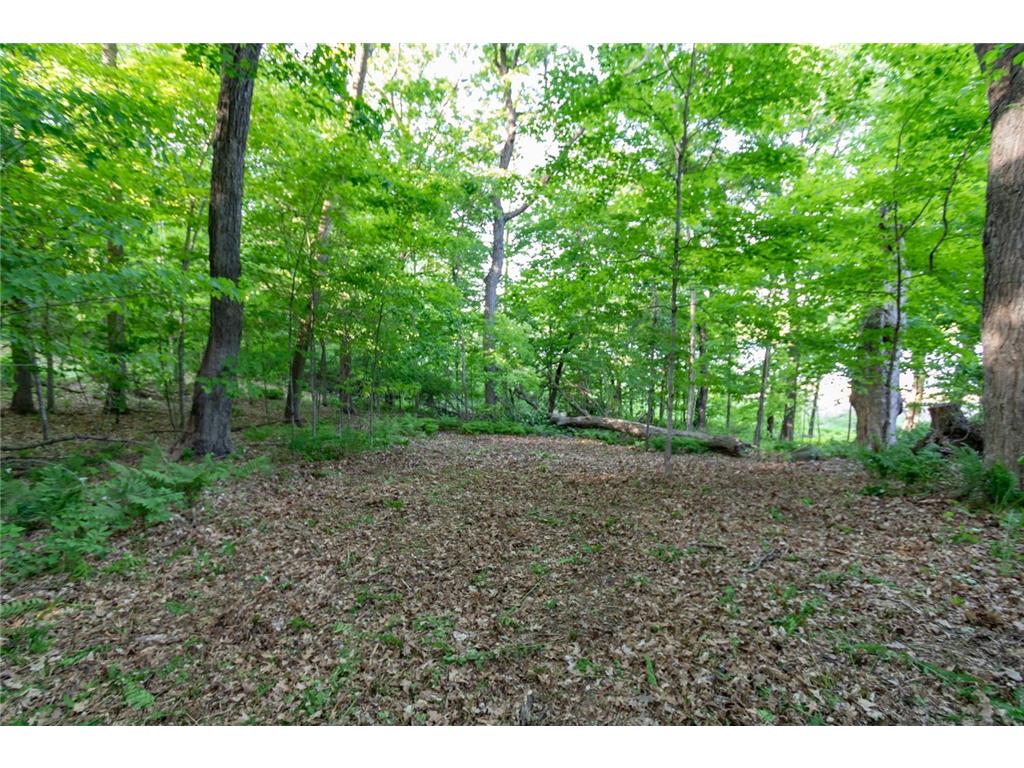 Lot 16 134th Avenue Amery WI 54001 - Brusher Lake 7082882 image11
