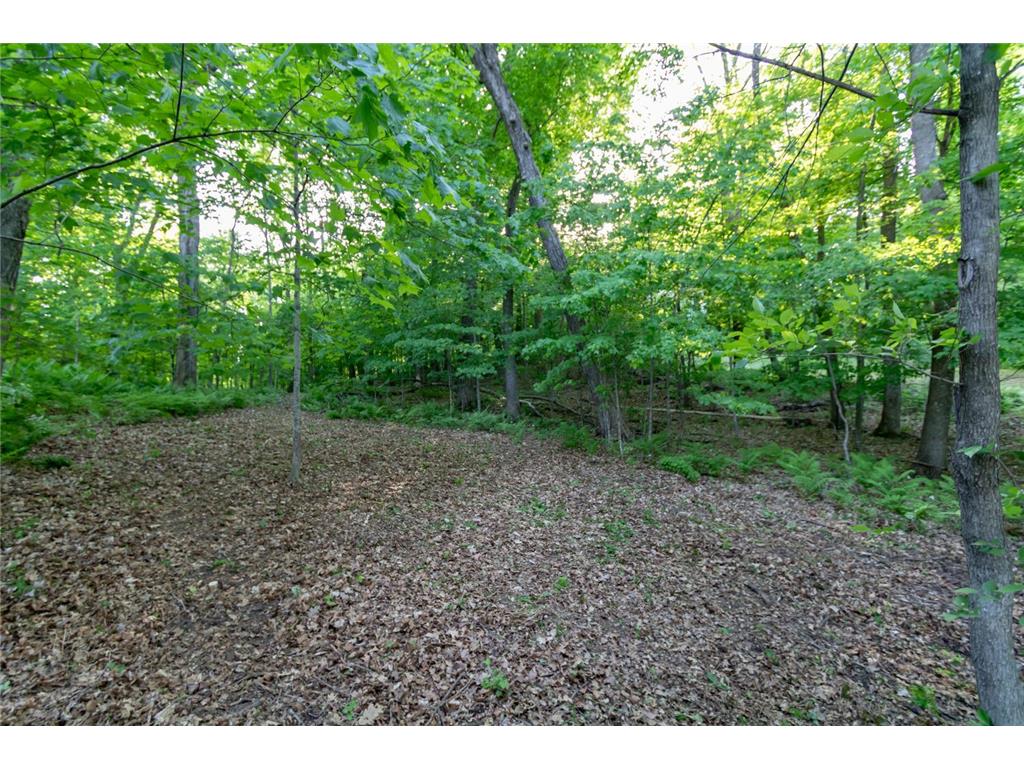 Lot 16 134th Avenue Amery WI 54001 - Brusher Lake 7082882 image12