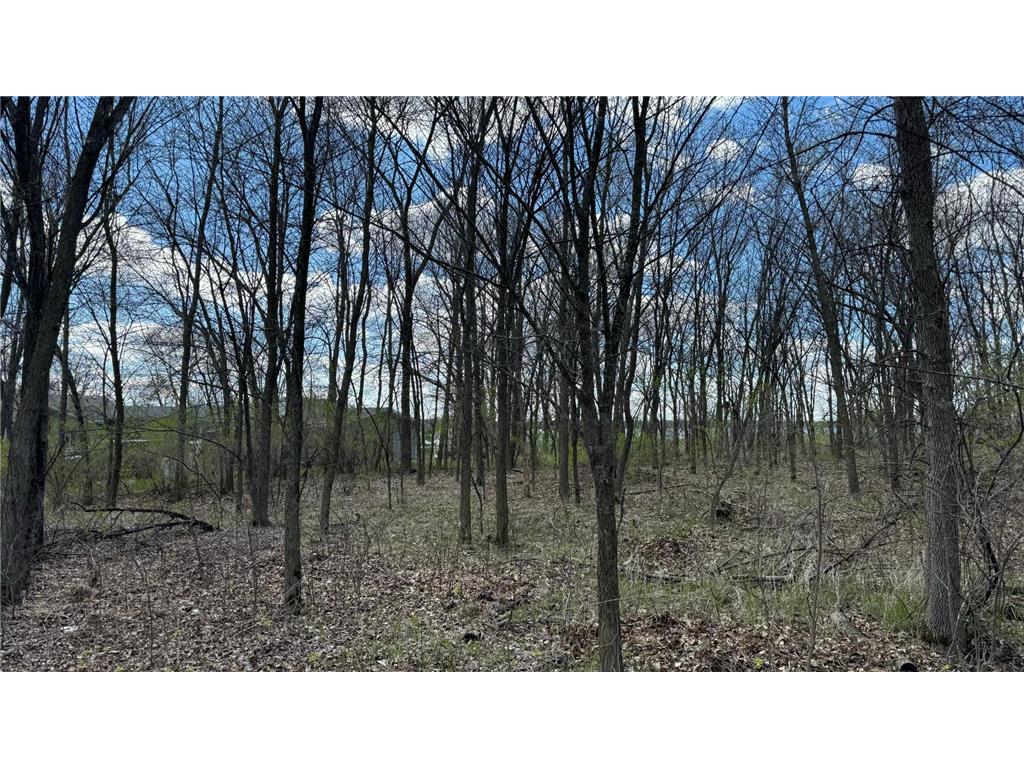 Lot 16 Sunset Strip NW Alexandria MN 56308 - Ida 6540800 image33