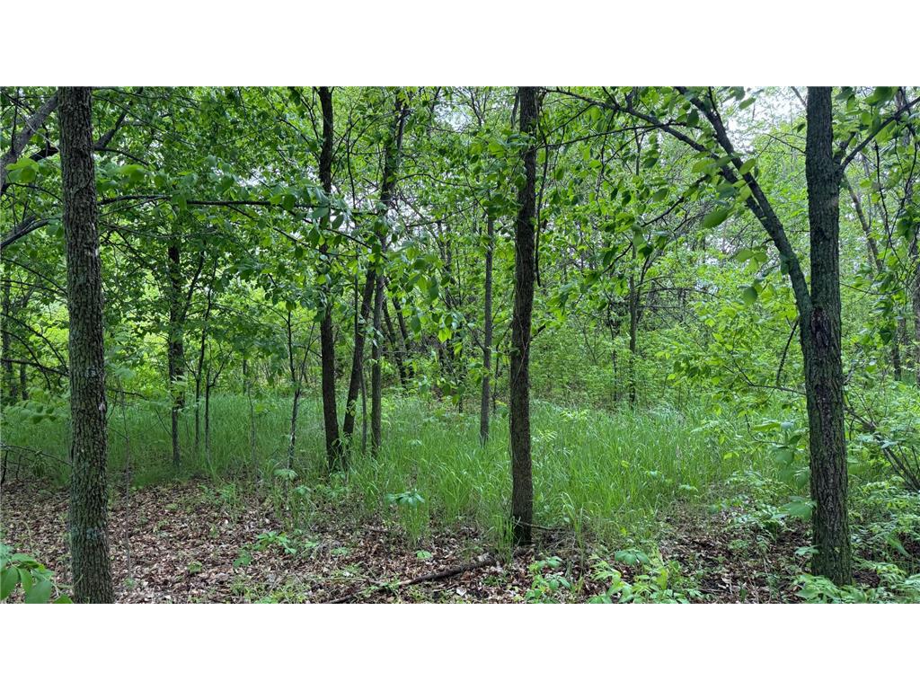 Lot 16 Sunset Strip NW Alexandria MN 56308 - Ida 6540800 image34