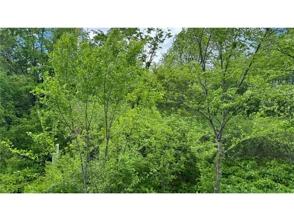 Lot 16 Sunset Strip NW Alexandria MN 56308 - Ida 6540800 image40