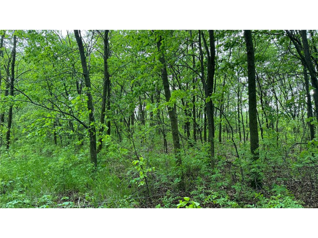 Lot 16 Sunset Strip NW Alexandria MN 56308 - Ida 6540800 image43