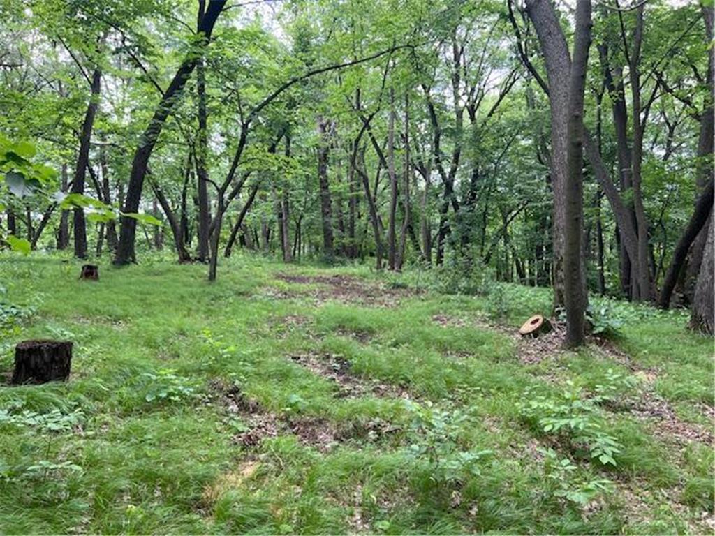 Lot 16 Turtle Bay Lane Perham Twp MN 56573 - Mud Lake 6690517 image1