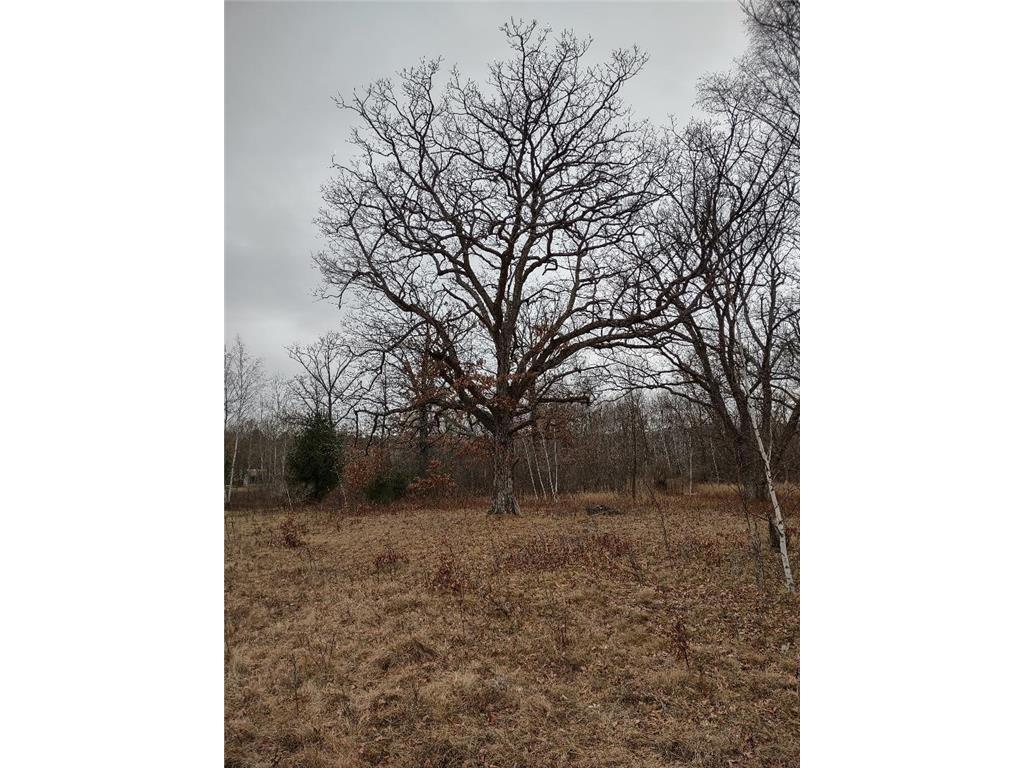 Lot 16 XXX 10 1/4 Avenue Chetek WI 54728 6494249 image1