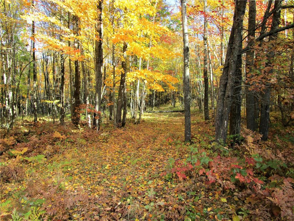 Lot 17 103rd Street Frederic WI 54837 6617705 image1