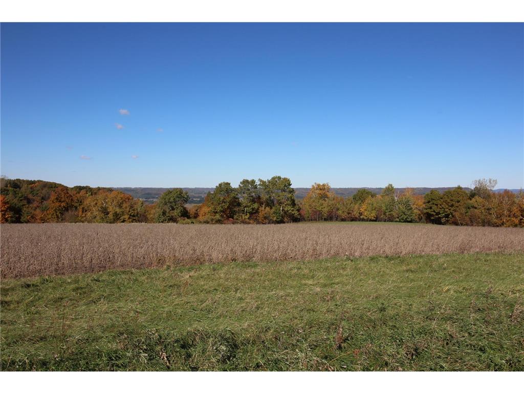 Lot 17 215th Avenue Wabasha MN 55981 - Mississippi 6486485 image15