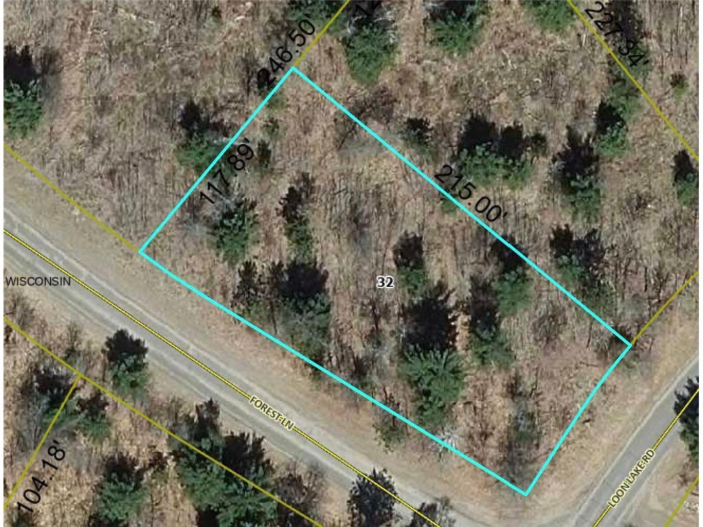 Lot 17 Loon Lake Road Danbury WI 54830 6641731 image1
