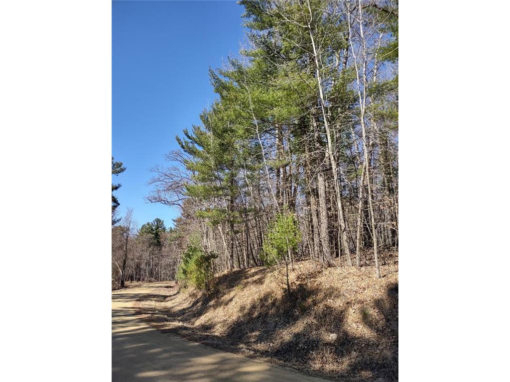 Lot 18 N4XX 297th Street Eau Galle WI 54737 6697109 image13