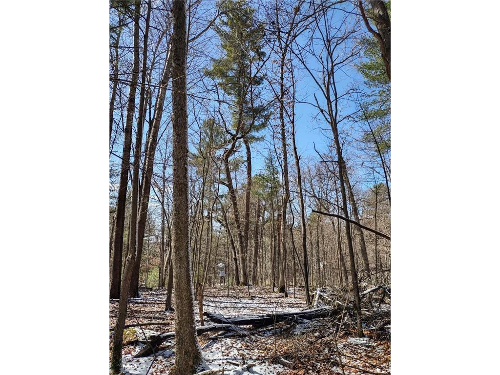 Lot 18 N4XX 297th Street Eau Galle WI 54737 6697109 image15