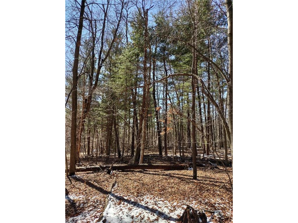 Lot 18 N4XX 297th Street Eau Galle WI 54737 6697109 image16