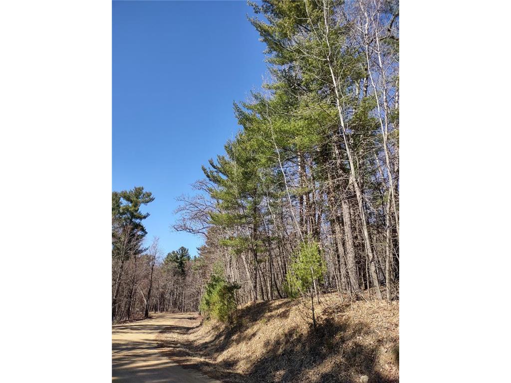 Lot 18 N4XX 297th Street Eau Galle WI 54737 6697109 image17