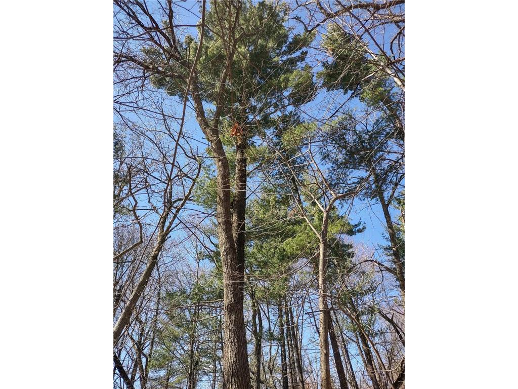 Lot 18 N4XX 297th Street Eau Galle WI 54737 6697109 image18