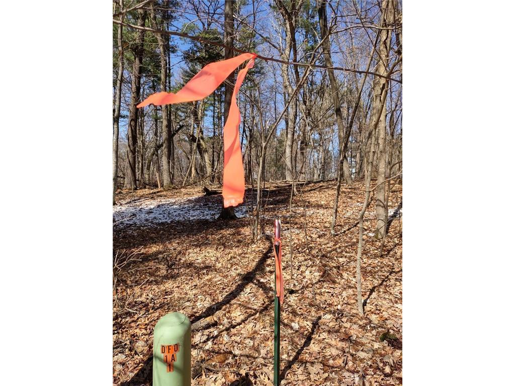 Lot 18 N4XX 297th Street Eau Galle WI 54737 6697109 image20