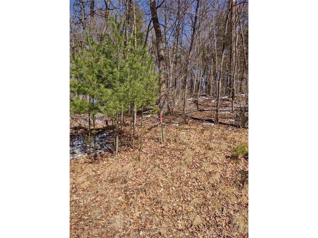 Lot 18 N4XX 297th Street Eau Galle WI 54737 6697109 image22