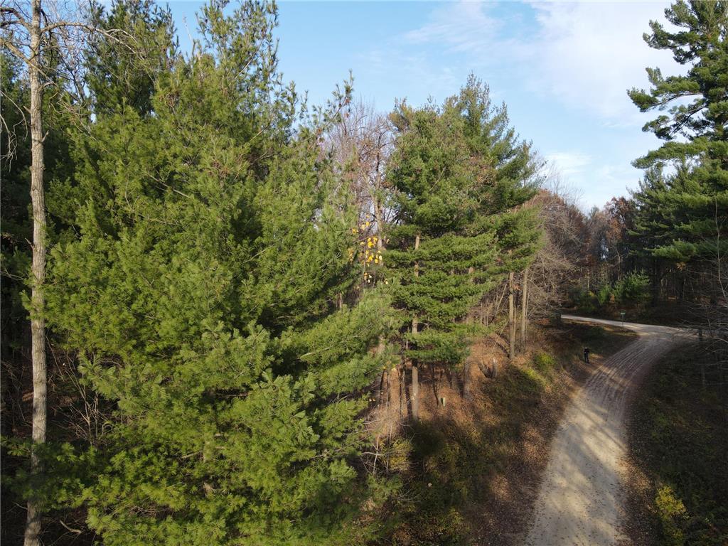 Lot 18 N4XX 297th Street Eau Galle WI 54737 6697109 image6
